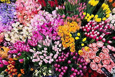 《暗黑破坏神4》剧情介绍预告片展示史诗冲突